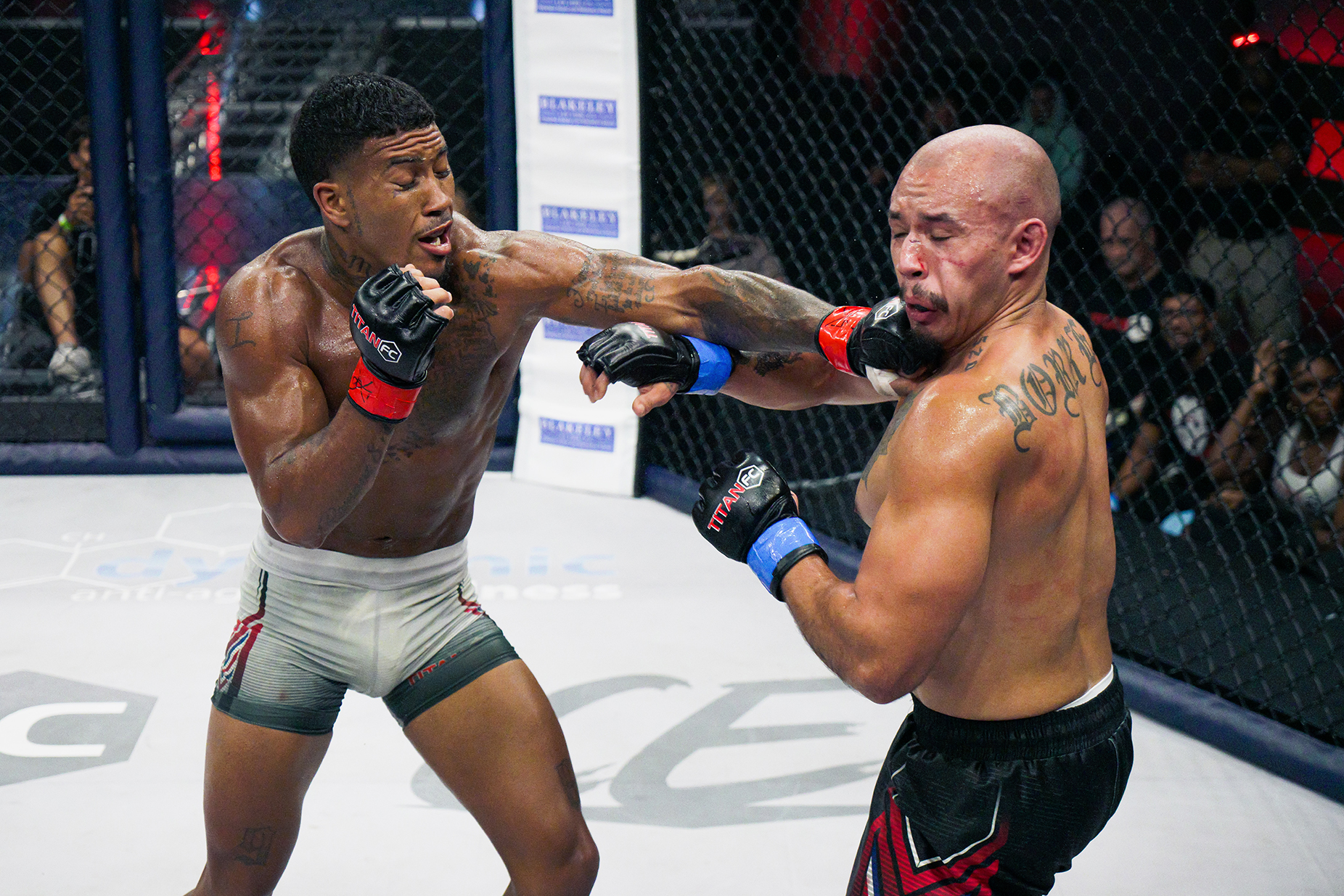 Titan FC 79 Juan Alvarez vs Jesus Borrego UFC Fight Pass FLXcast Arena photo by klxxblatt